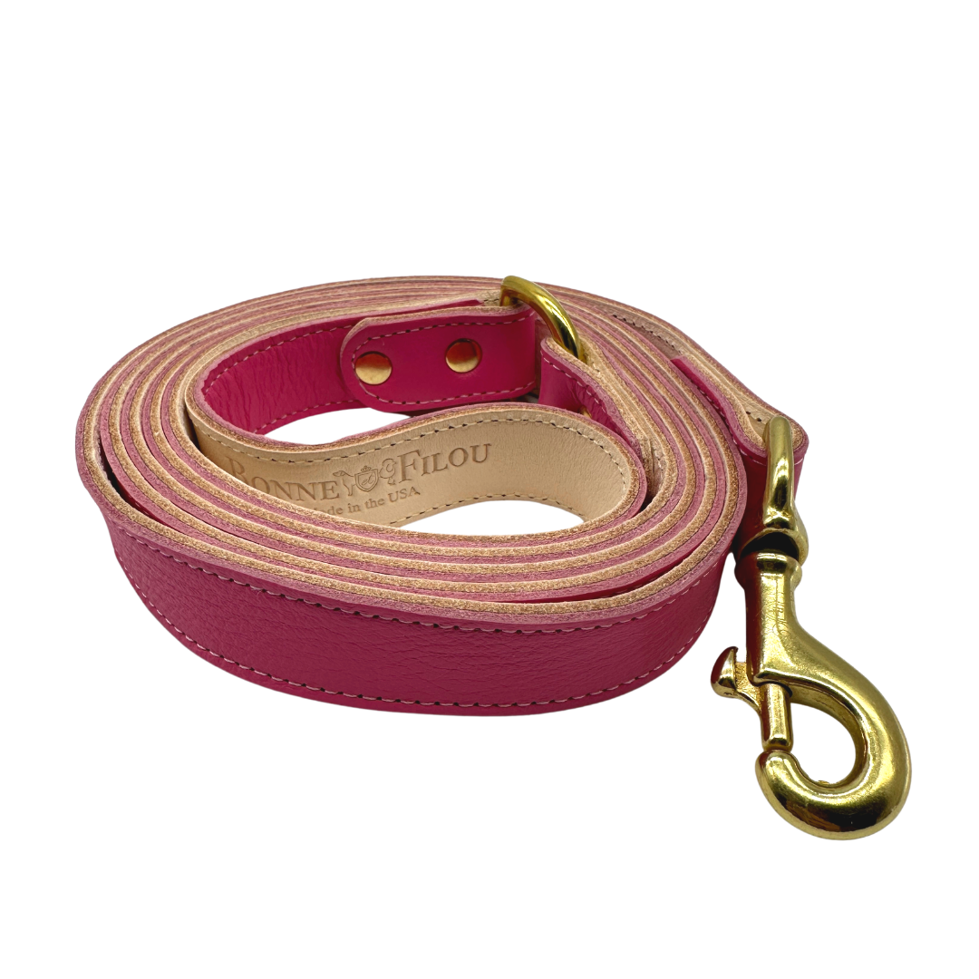 Genuine Leather Dog Leash, Unique Dog Holiday Gift: Brown / 3/4"