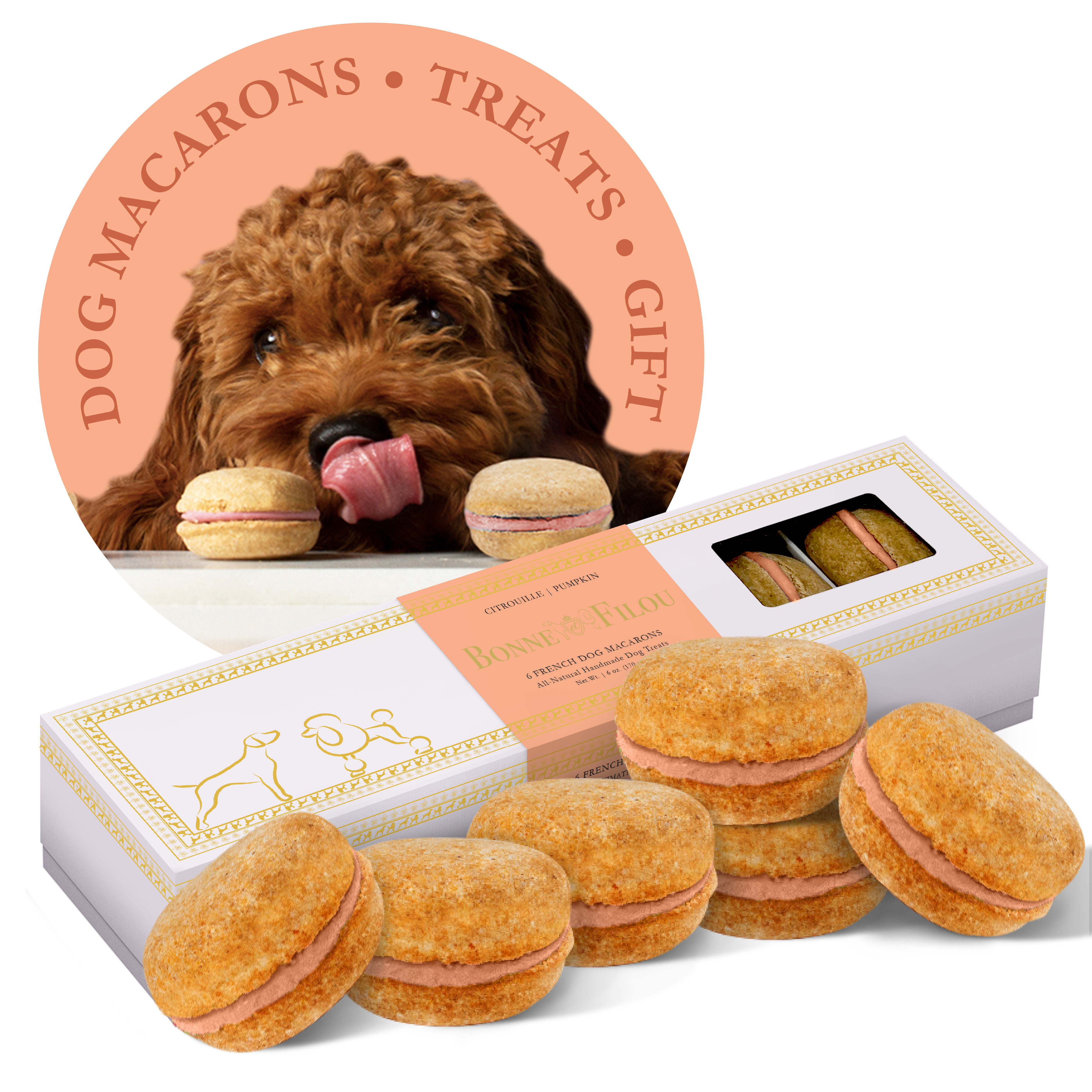 Dog Macarons | Treats | Gifts (6 count): Peanut Butter