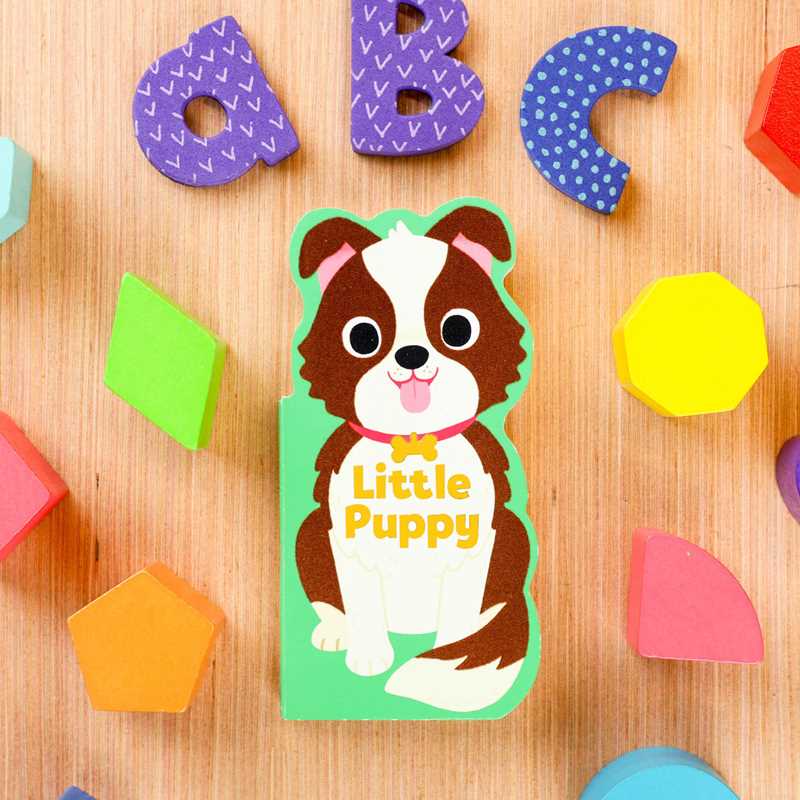Little Puppy by Maggie Fischer: Board Books; 8 pages / English