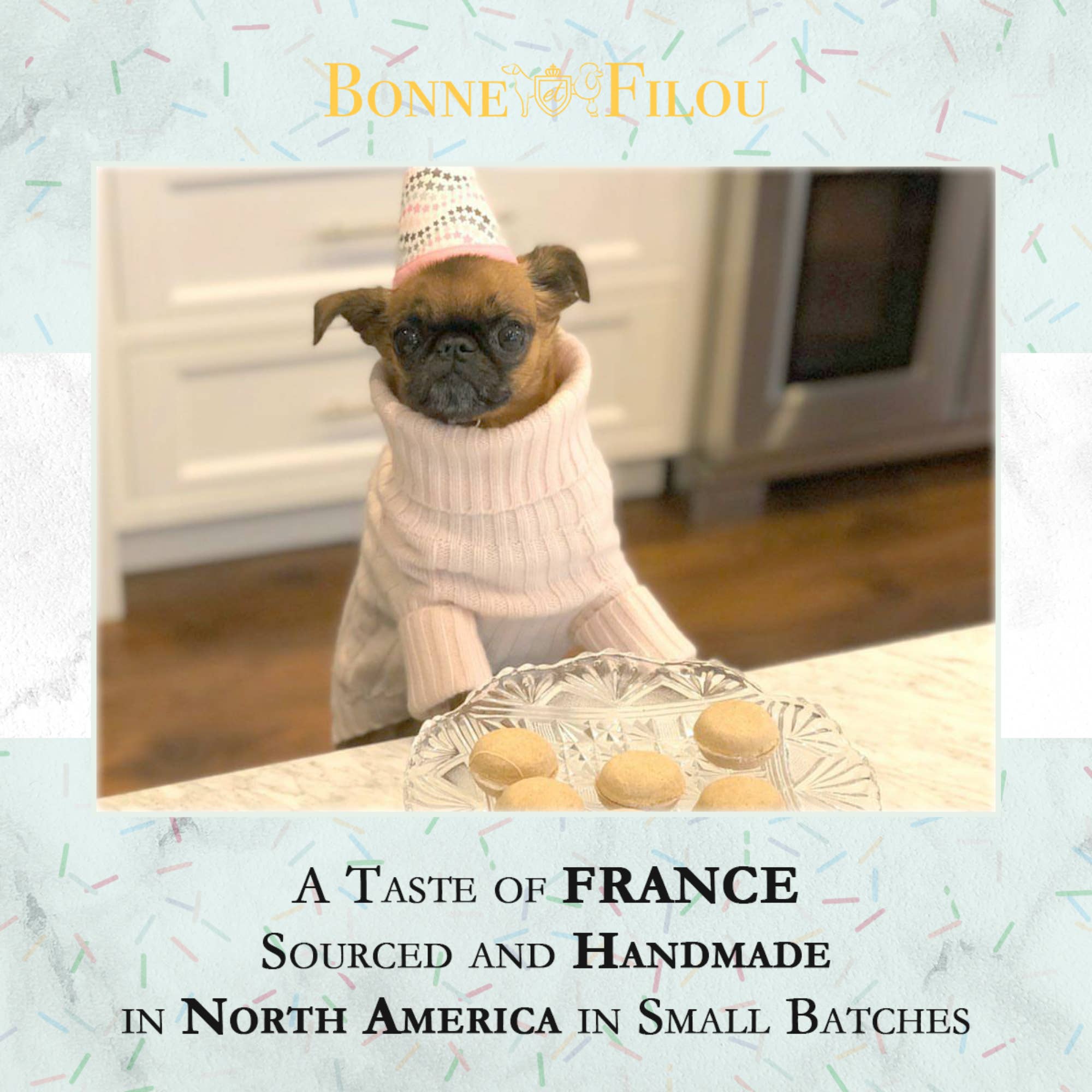 Dog Macarons | Treats | Gifts (6 count): Peanut Butter