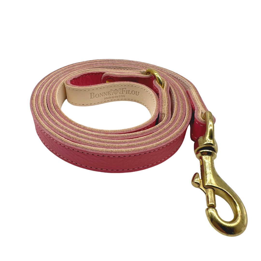 Genuine Leather Dog Leash, Unique Dog Holiday Gift: Brown / 3/4"