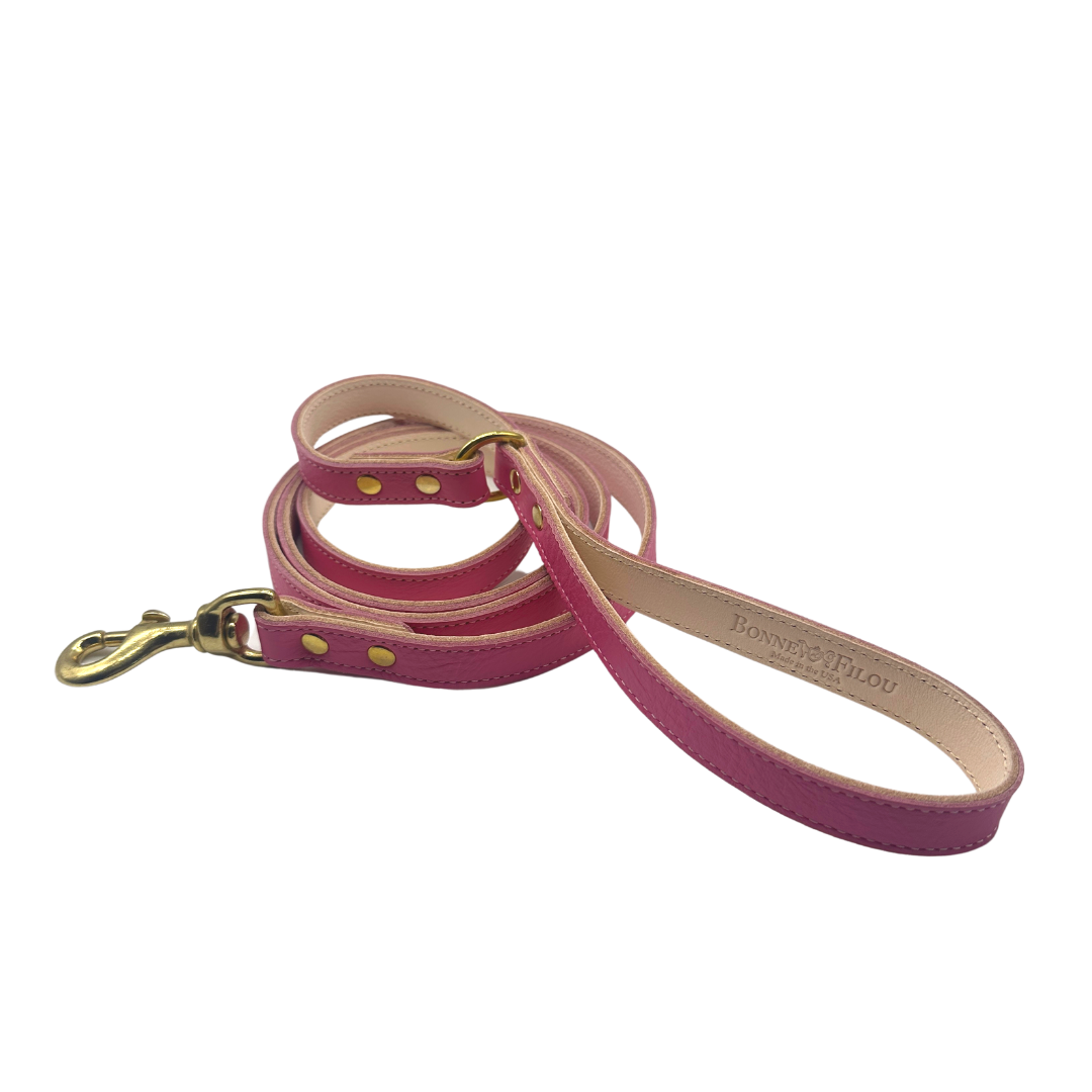 Genuine Leather Dog Leash, Unique Dog Holiday Gift: Black / 3/4"