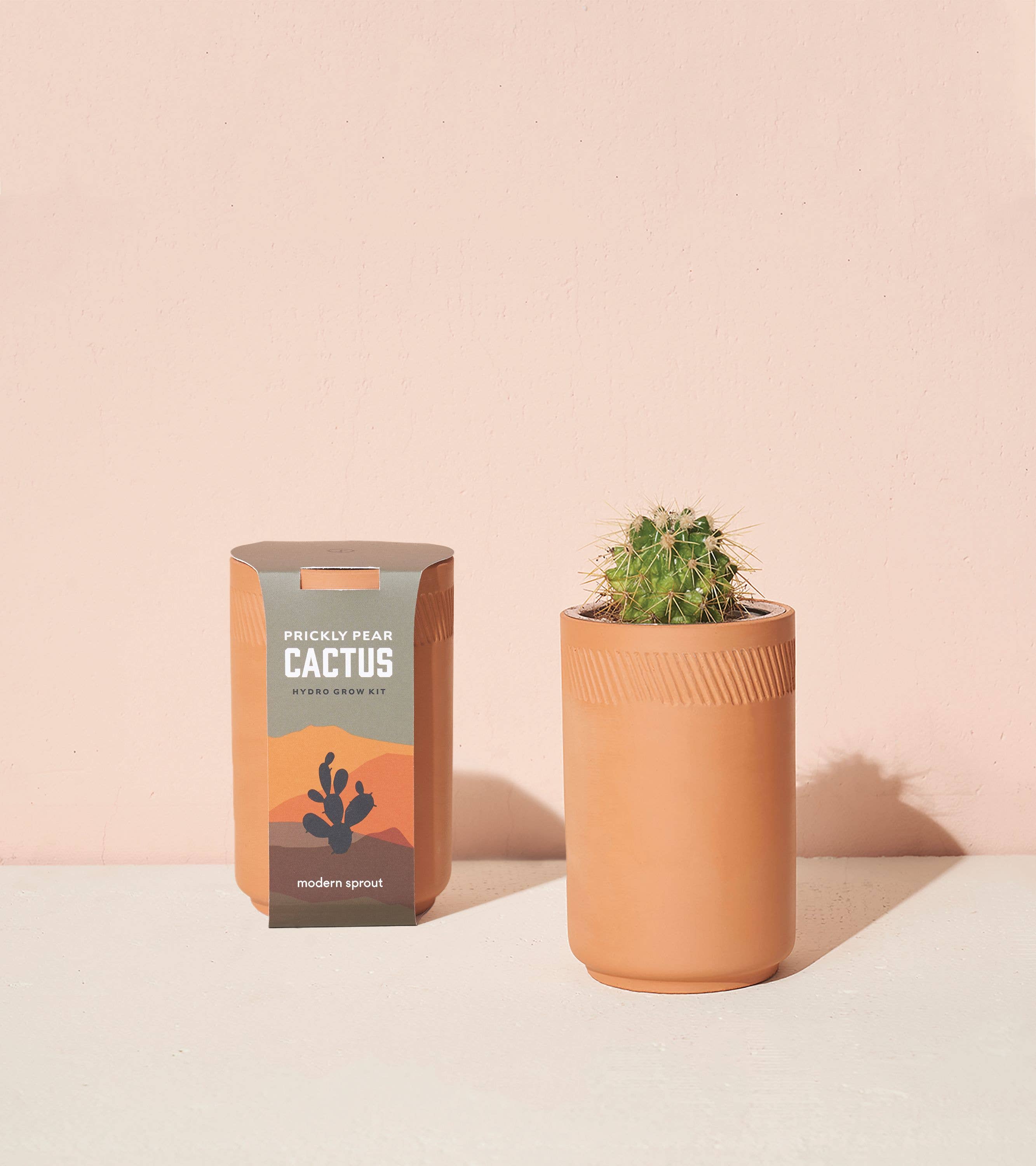 Terracotta Kit - Cactus